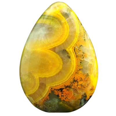 Bumblebee Jasper