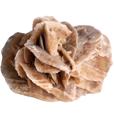 Desert Rose