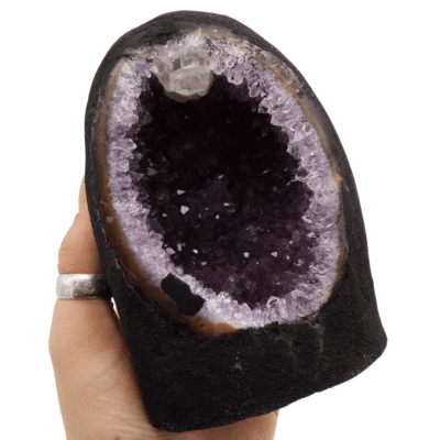 Amethyst Cut Base Geode (130mm x 90mm) - Image 4