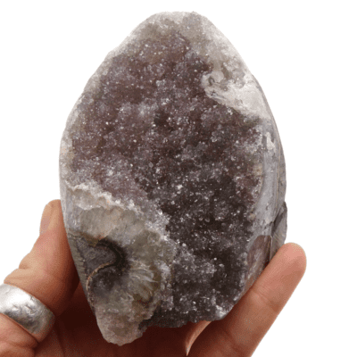 Uruguayan Amethyst Druze Formation (552g) - Image 4