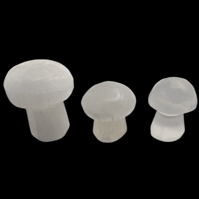 Selenite Toadstools - Mixed Size 50 pcs - Image 3