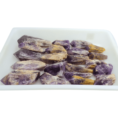 Bahia Natural Points Tray Deal (4.57KG) 25% OFF! - Image 3