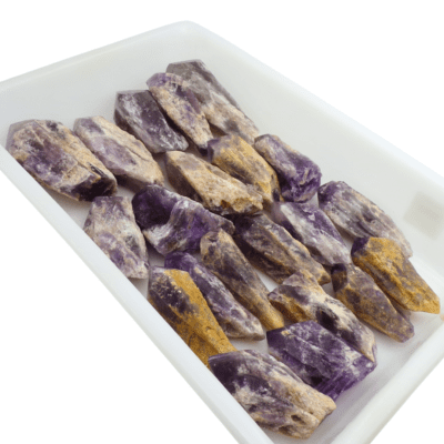 Bahia Natural Points Tray Deal (4.57KG) 25% OFF! - Image 2