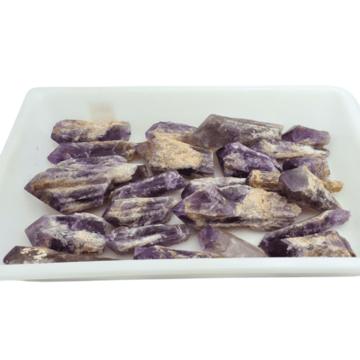 Bahia Natural Points Tray Deal (4.11KG) 25% OFF! - Image 3